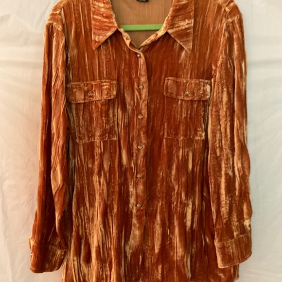 Beautiful new velvet shirt blouse with Rhinestone buttons - Picture 2 of 3